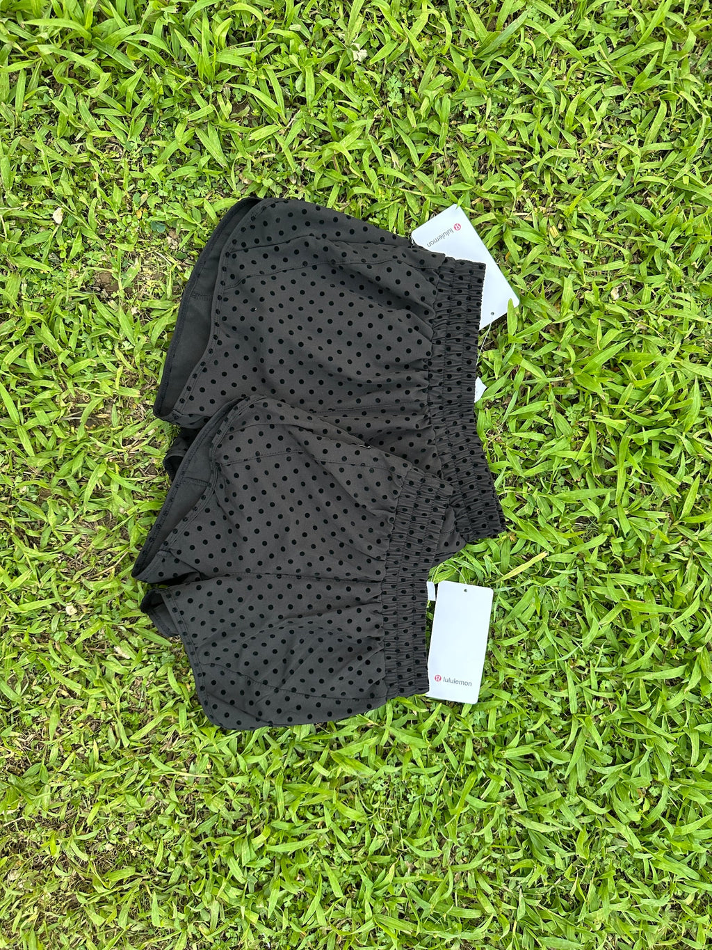 ADULT active shorts